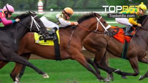 Luật Chơi Game Đua Ngựa